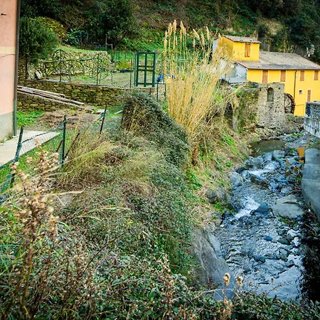 Appartamento L'oliveto Dei Cinque Sensi