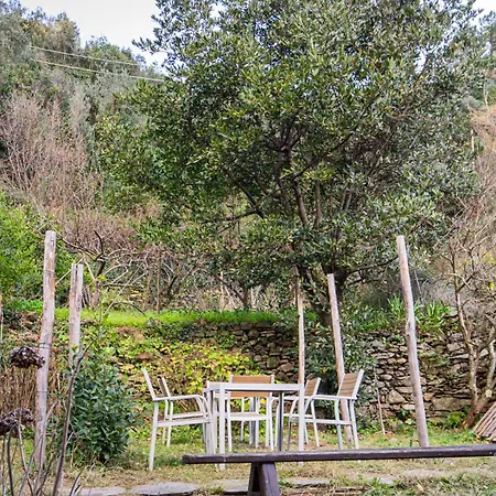 L'oliveto Dei Cinque Sensi * Vernazza