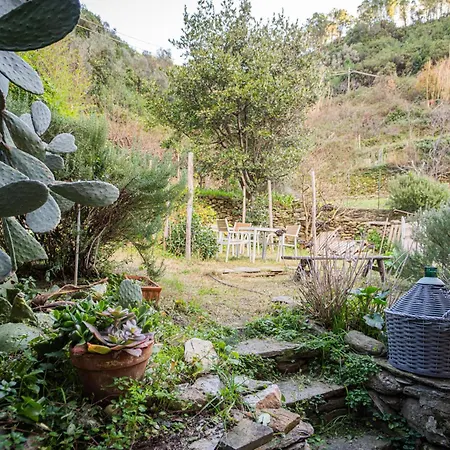 L'oliveto Dei Cinque Sensi * Vernazza