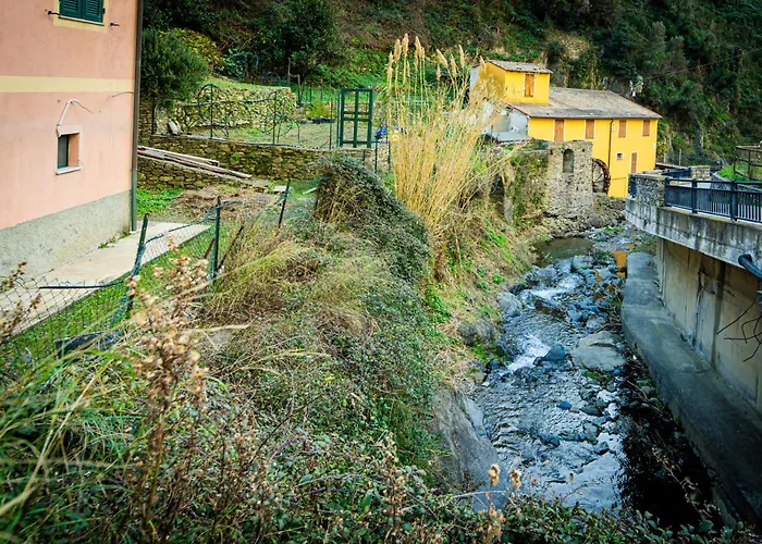 Lejlighed L'oliveto Dei Cinque Sensi