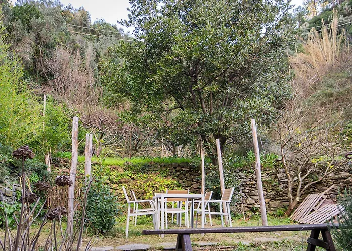 L'oliveto Dei Cinque Sensi * Vernazza